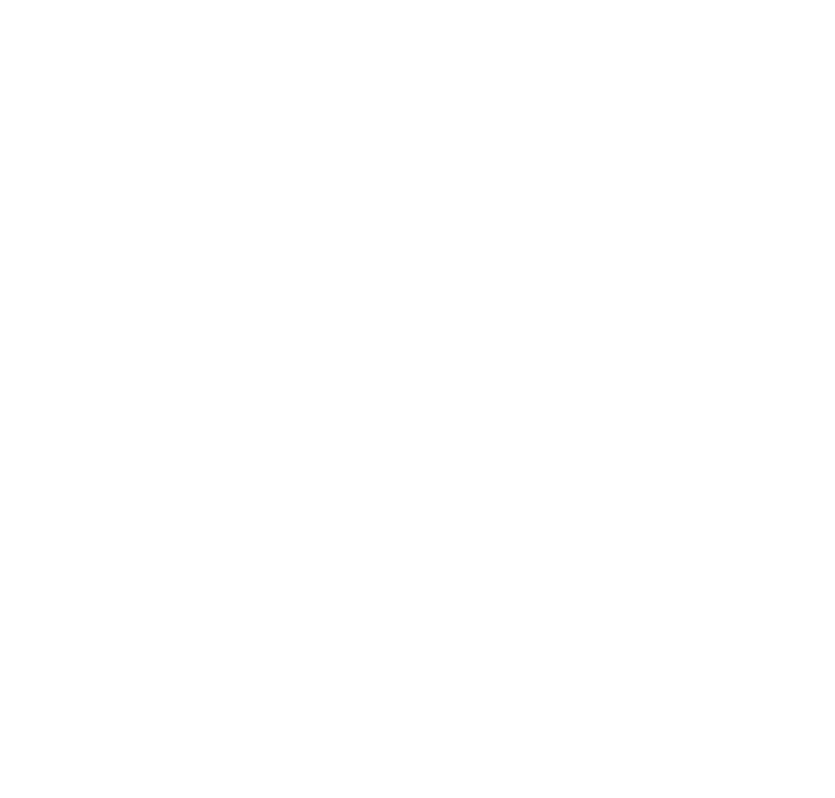Becoming a global IFM corporation from Japan